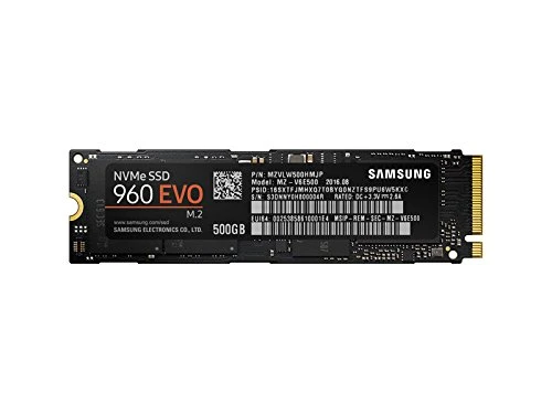 Samsung 960 EVO MZ-V6E500BW Interne Solid State Drive (500GB) schwarz